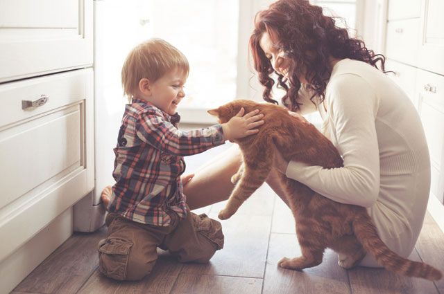 Как научить ребенка правильно общаться с животными и не запугивать их