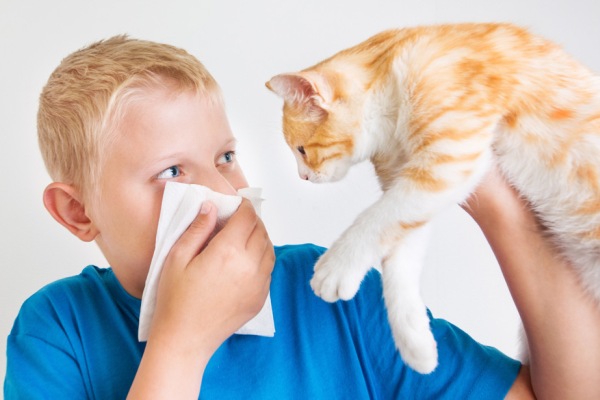 Лечение астмы может навредить здоровью